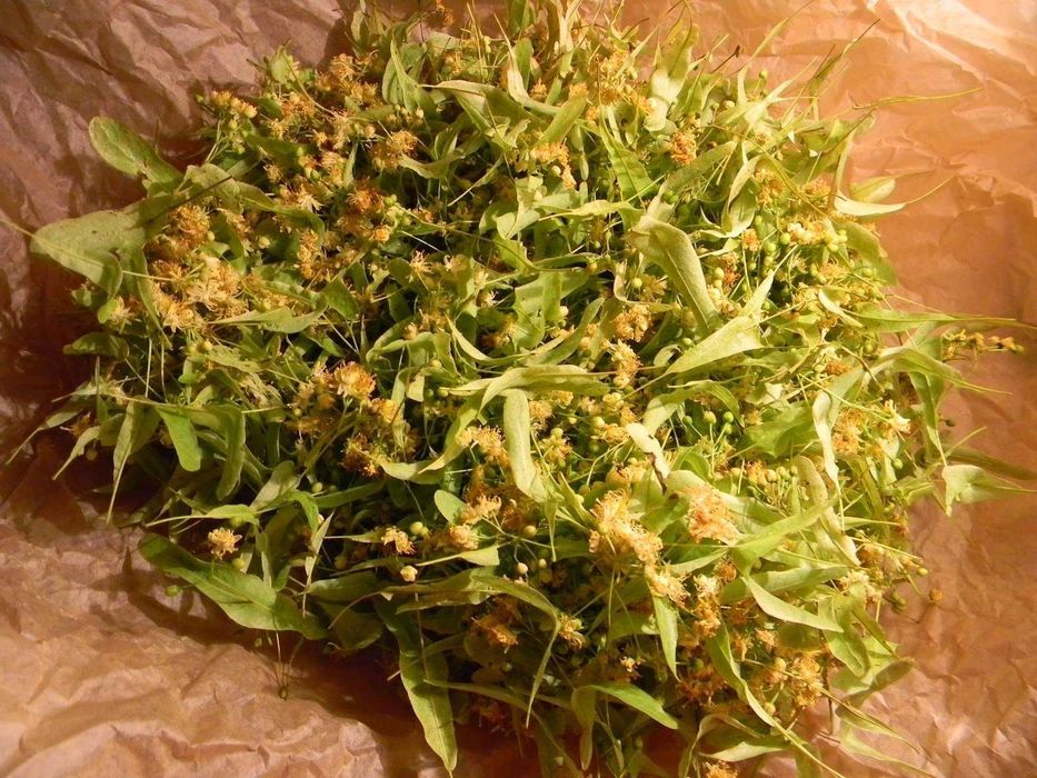 Suszona lipa/ suszony kwiat lipy - 100 g