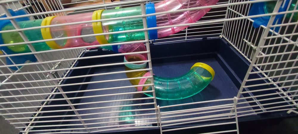 Gaiola para hamster
