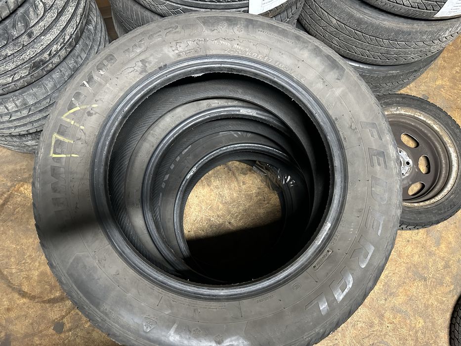 Резина зимова federal