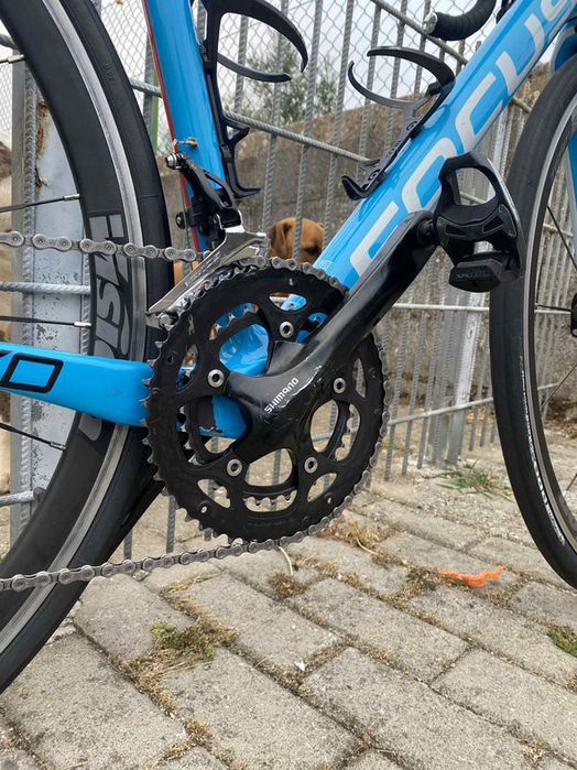 Focos Cayo Full Carbono