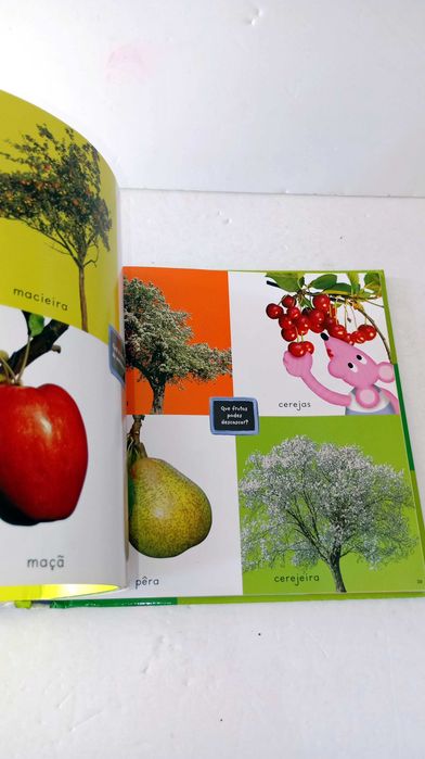 Dicionário de Imagens - Natureza