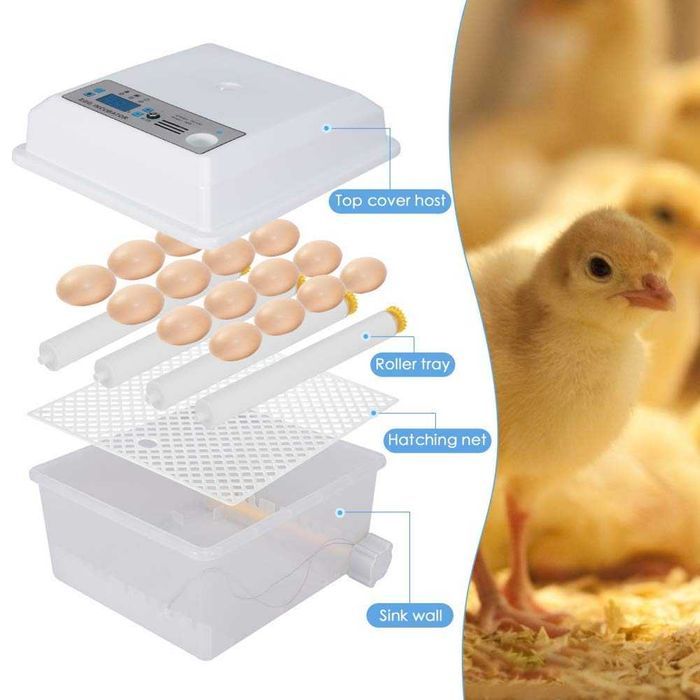 Incubadora de ovos automática 16 ovos64729896926850123