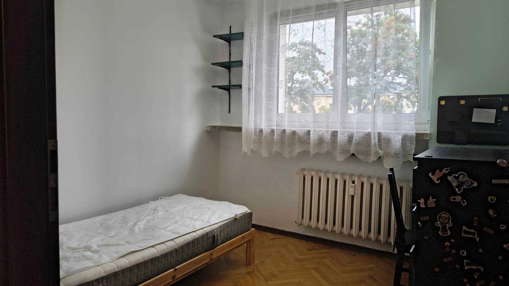 Zdjęcie 3