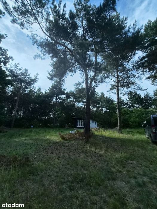 Działka 1154 m² blisko rzeki Wkry | Całoroczna lub rekreacyjna - Widok 6