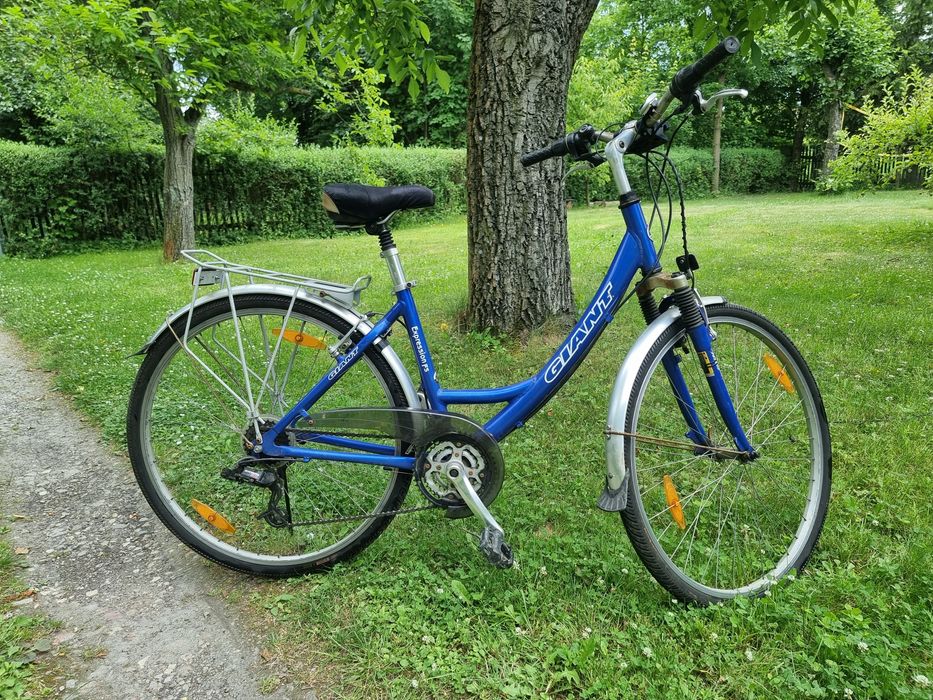 Rower trekkingowe Giant Expresion