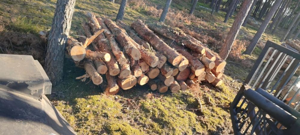 Drewno suche opałowe