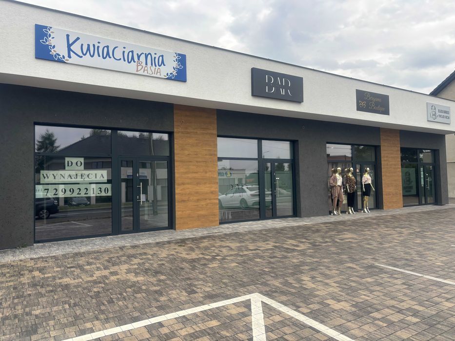 Budowa hal, magazynów, biurowców i innych!