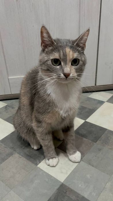 У добрі відповідальні руки - Міруся.