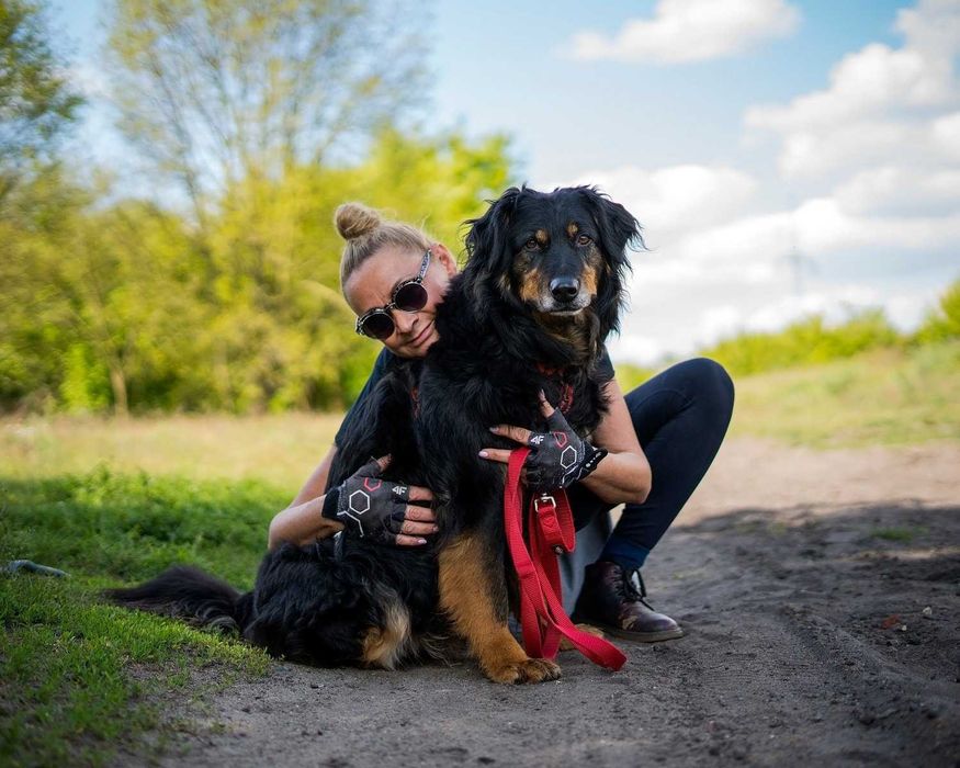 Clifford – stateczny, wspaniały, ułożony psiak marzy o własnym domu :)