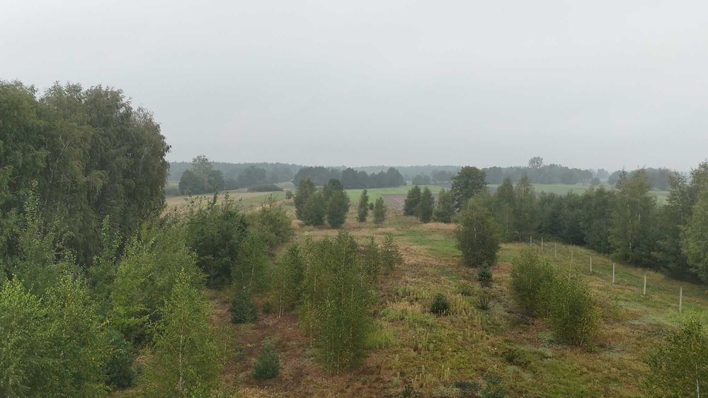 inwestycyjna działka ze stawem