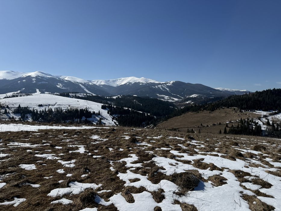Продається ділянка осг в с. Пилипець