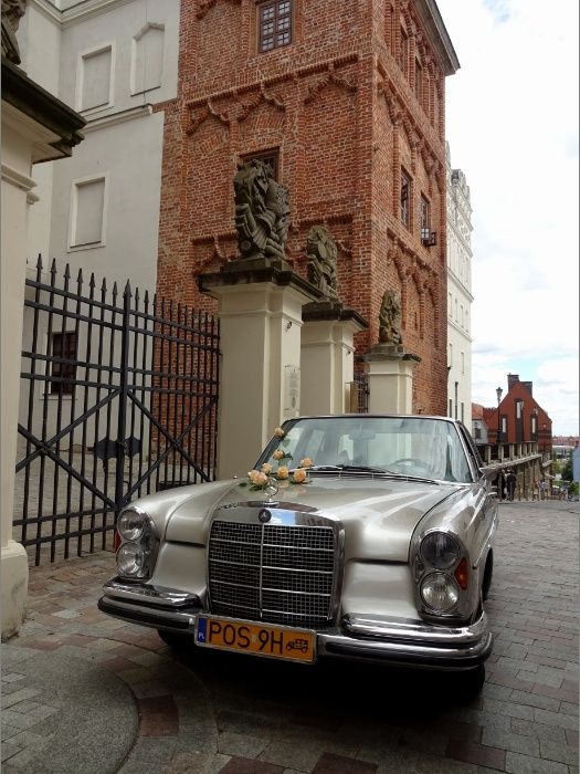 Auto do ślubu Szczecin, Police. Mercedes w108