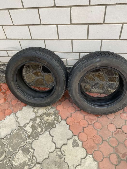 Автошина Tigar 195/65 R15