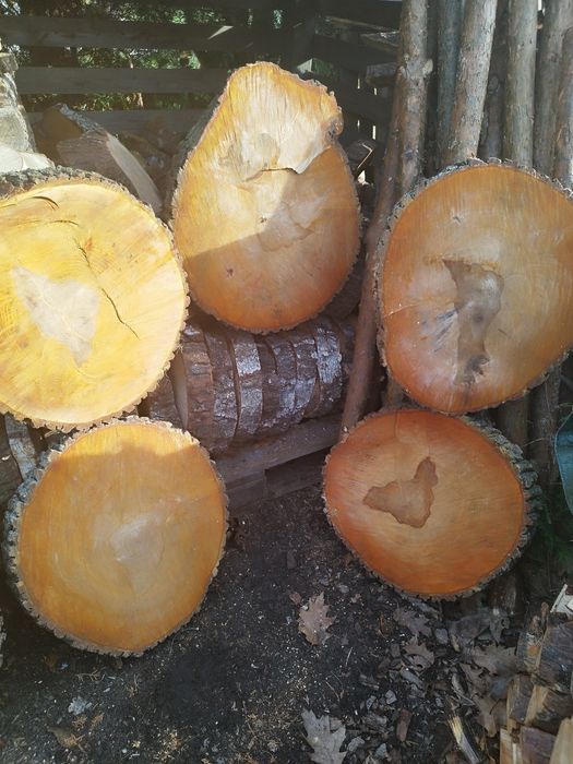 Krążki, plastry z drewna naturalnego