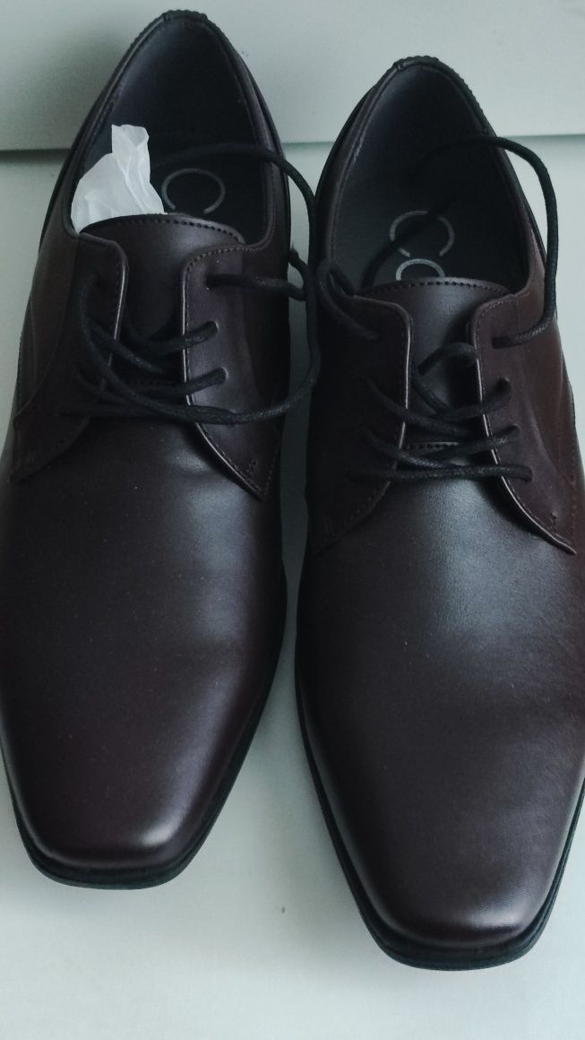 Calvin 2024 klein benton