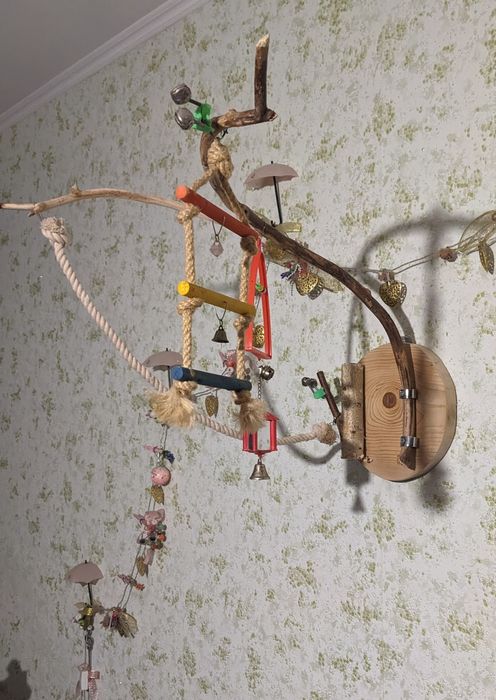 Присада, диснейленд для попугаев