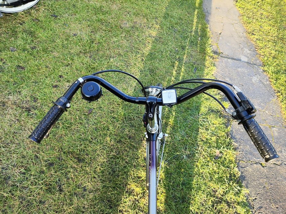 Sparta Met męski rower z silnikiem spalinowym sachs301A, Spartame