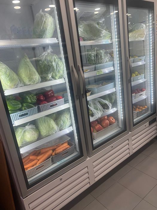 Arca refrigerante