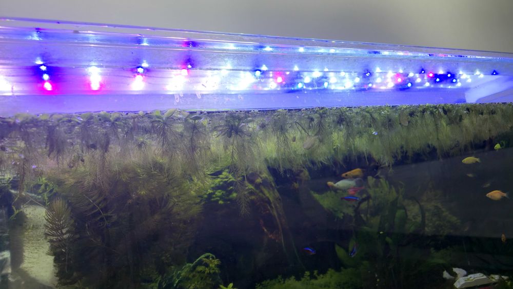 Belka led plant akwariowa 120cm