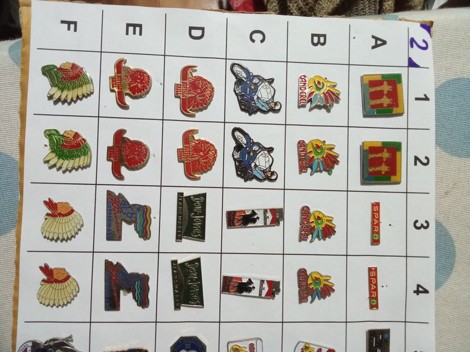 Pins      Grande Oportunidade