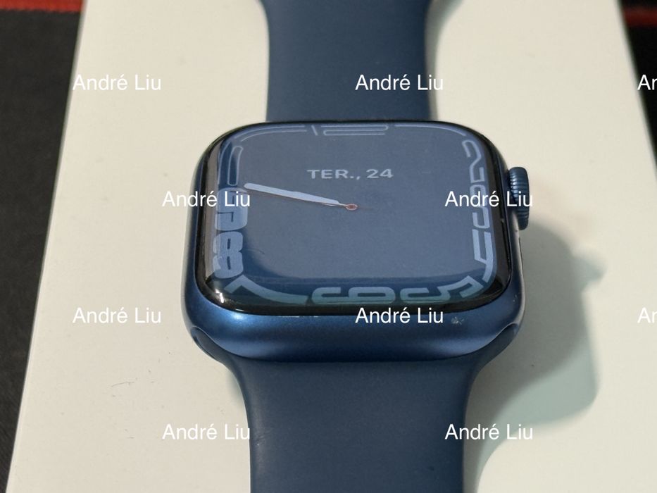 Apple Watch Series 7 45MM Blue