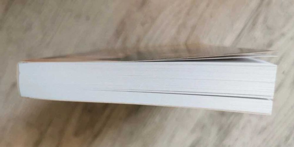 Kochanka Piłata - Gisbert Haefes