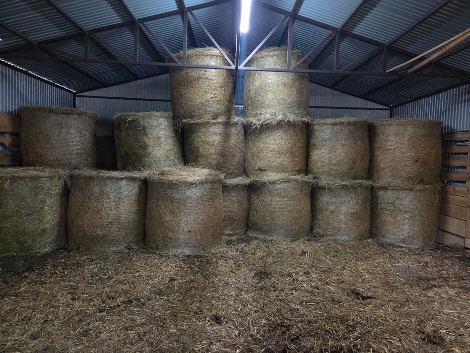 Sprzedam siano w belach 120cm