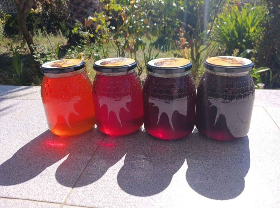 Mel de Castanheiro e Rosmaninho