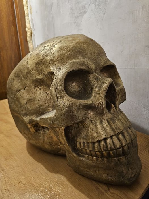 Czaszka złota  gigant Duża