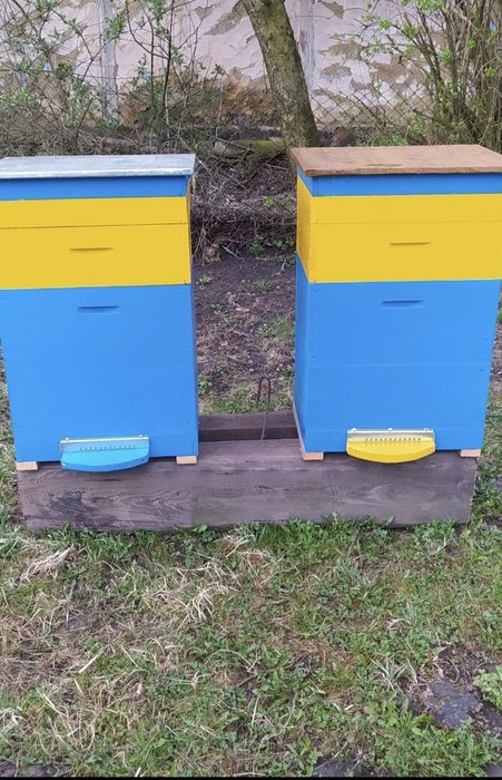 Вулики українські