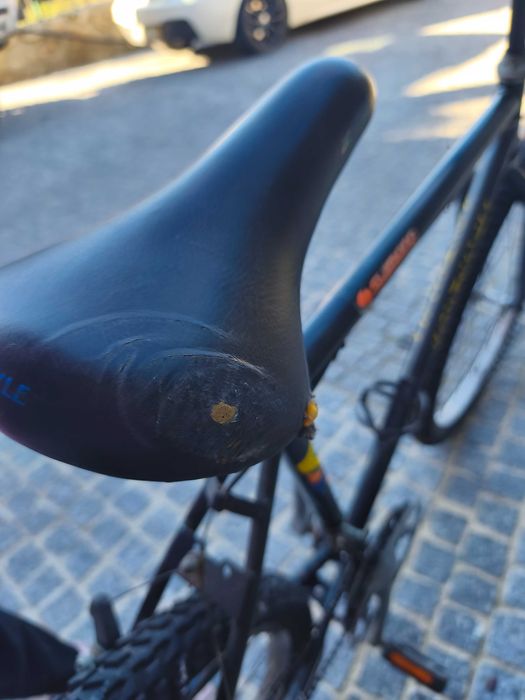 Bicicleta de mudanças