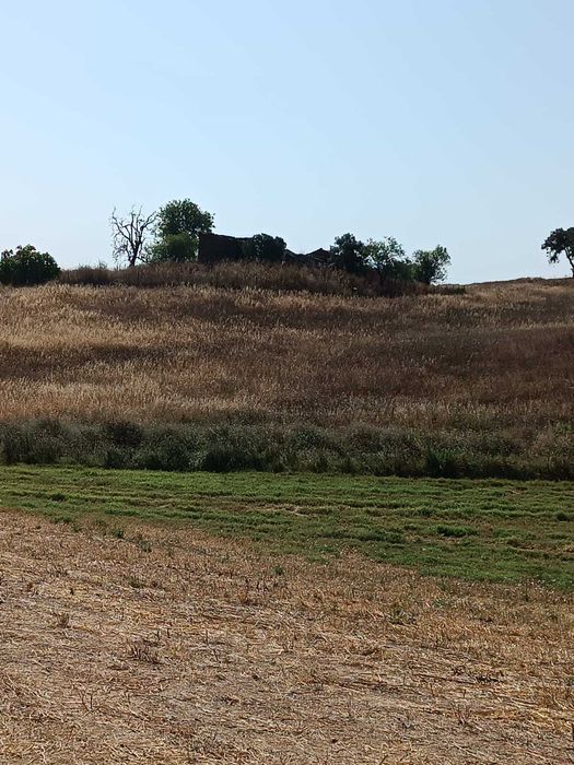 herdade no baixo Alentejo