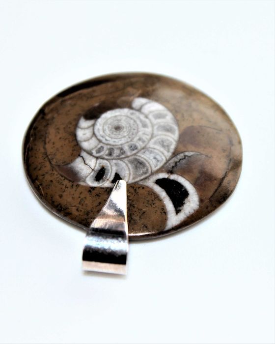 Pendente elegante e com valor Histórico, Amonite