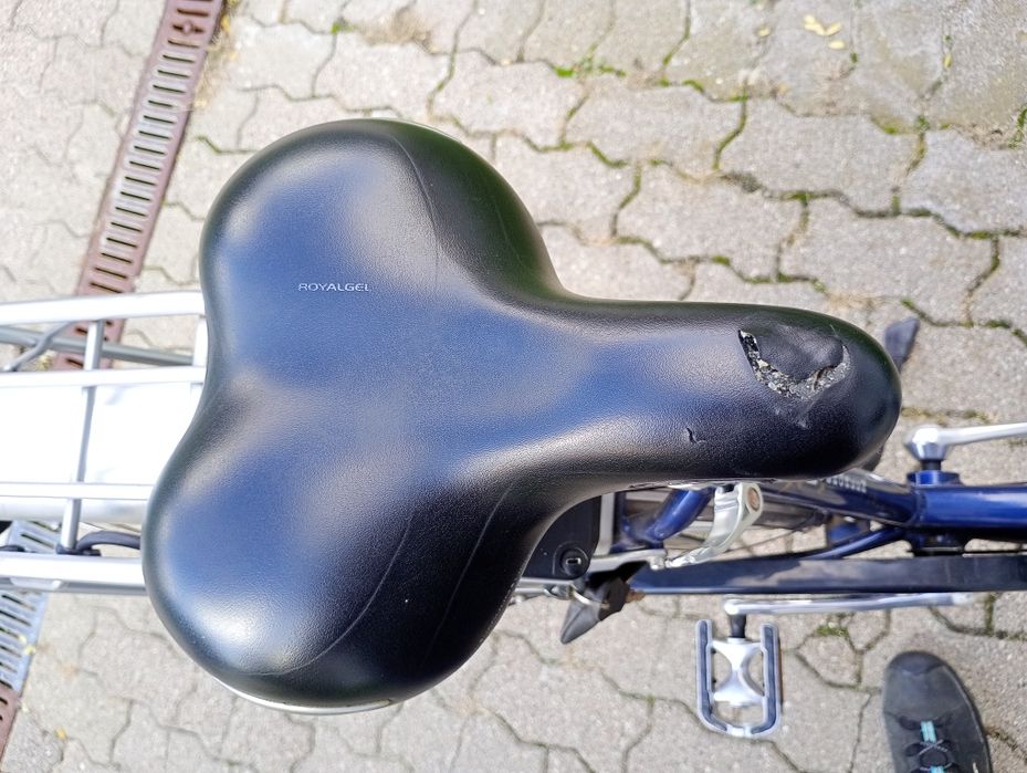 Holenderski rower elektryczny Herbin