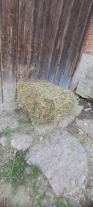 Kostki siano/słoma