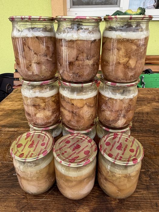 Тушонка свиняча/куряча