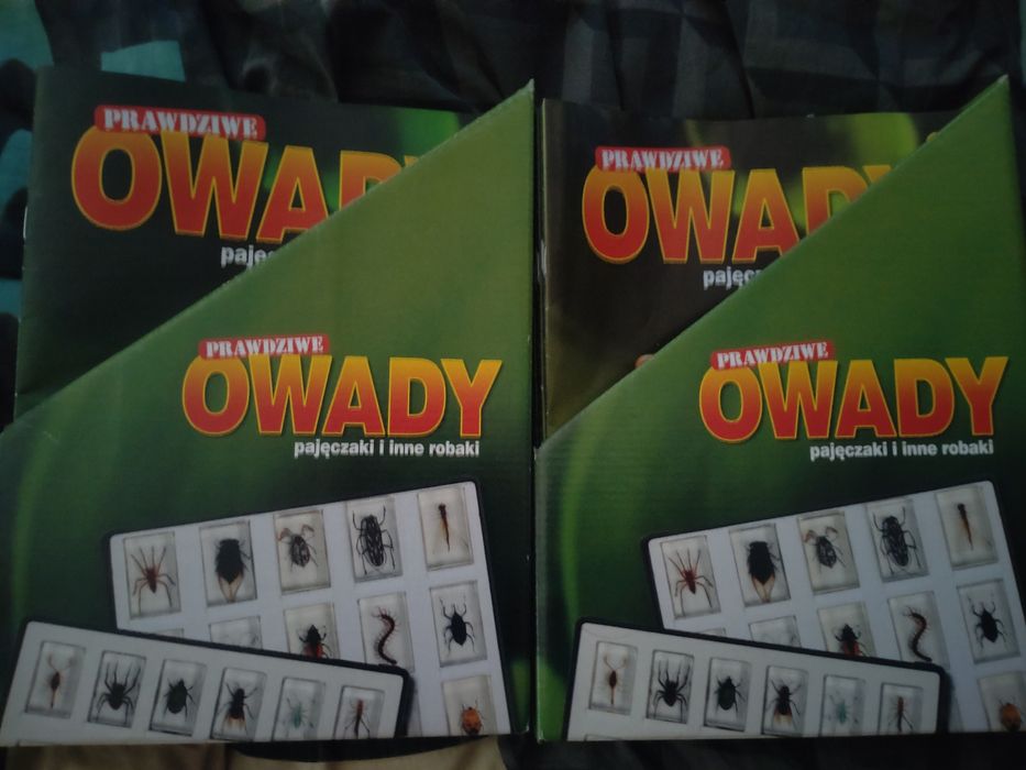 Kolekcja Prawdziwe Owady