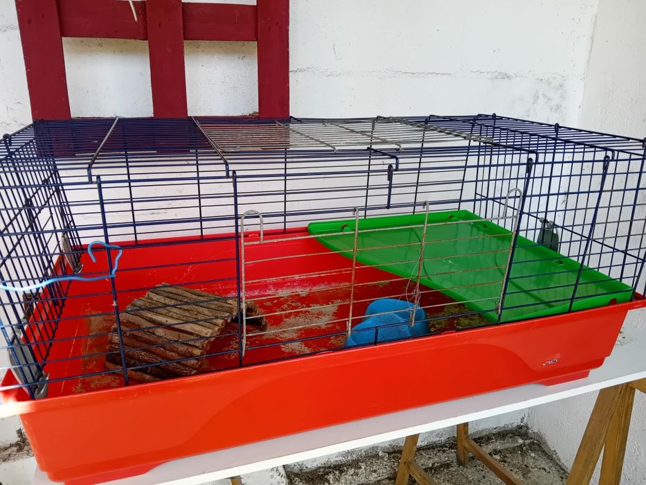 Gaiola para roedores grandes