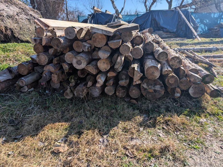 Stemple budowlane 2,8 m – ok. 90 szt. – 2025 r. – raz użyte