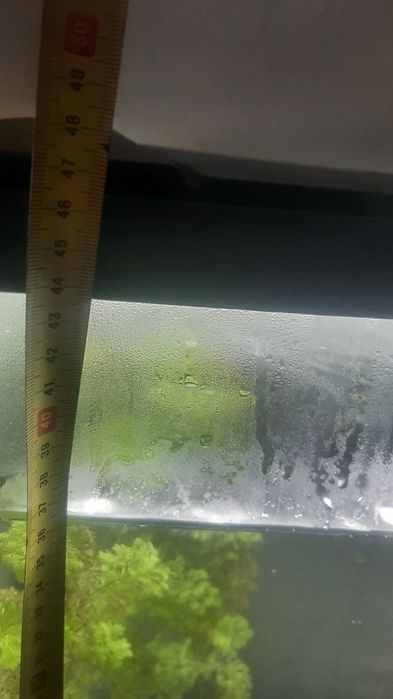 Aquario peixes  EHEIM