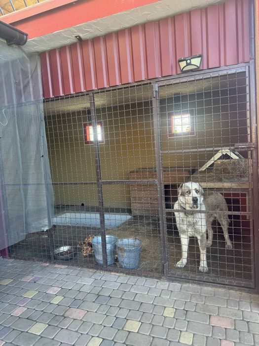 Продаж Заміський Будинок