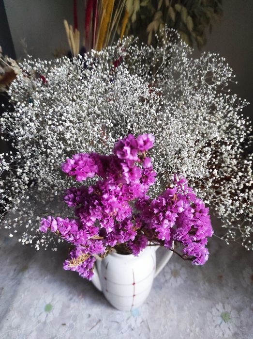 Сухоцвіти Сухоцветы   вейник    скабіоз  гіпсофіла