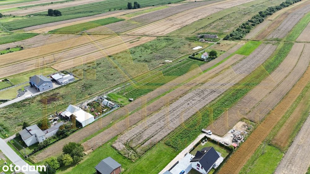7200 m² | 1800 m² budowlane | Wilcza | Potencjał inwestycyjny