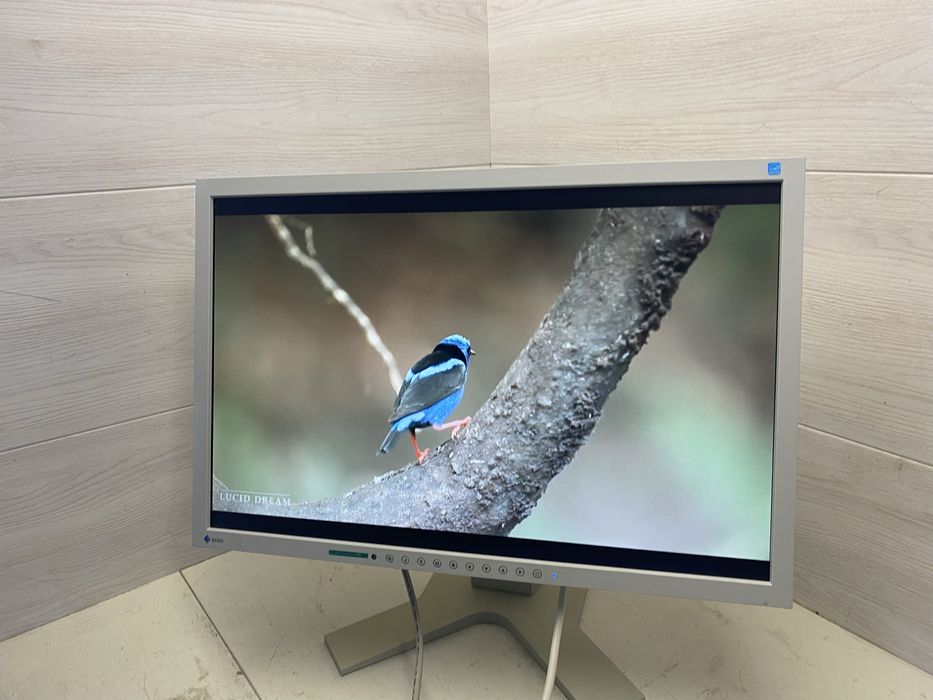 Монітор Eizo FlexScan S2202 22" 1680×1050 – 10 шт. в наявності