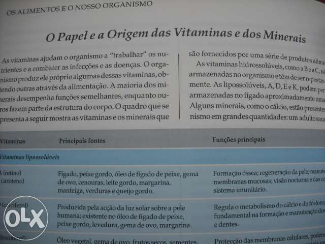 "Receitas Maravilhosas -Comer Melhor para Viver Melhor"
