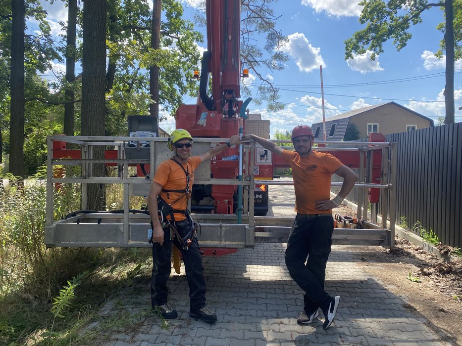 Спил дерев|Зрізання дерев|Корчування пнів|Видалення дерев|Обрізка саду