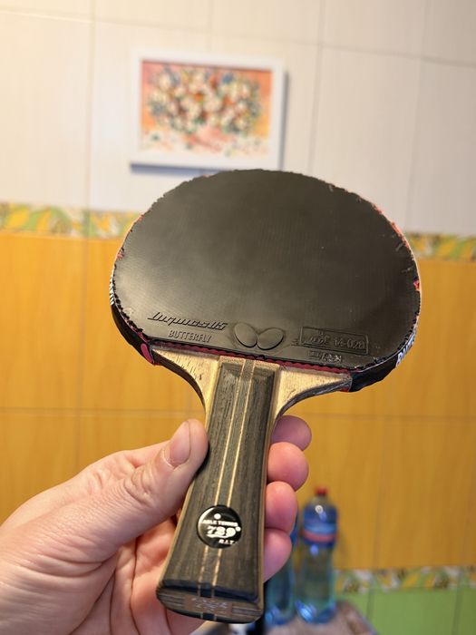 Збірна ракетка  729 + Dignics 05+ 729 BATTLE II