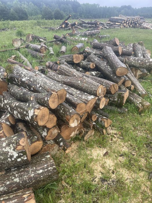 Продам дрова різних порід є доставка