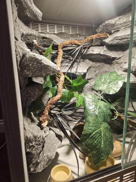 Terrarium  stan dobry .