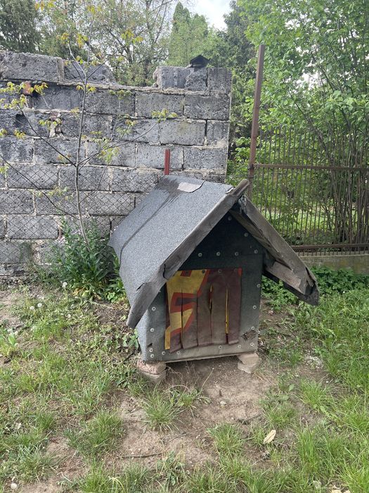 Psia buda oddam za darmo